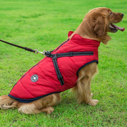 Dog/Puppy Jacket & Harness for Small Medium & Large Dogs - ScootRasch Outdoor Equipment