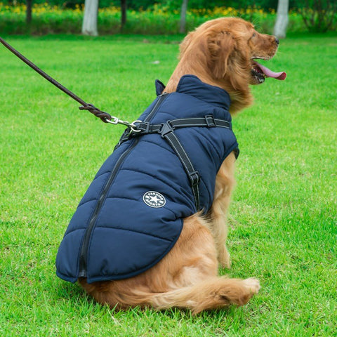 Dog/Puppy Jacket & Harness for Small Medium & Large Dogs - ScootRasch Outdoor Equipment