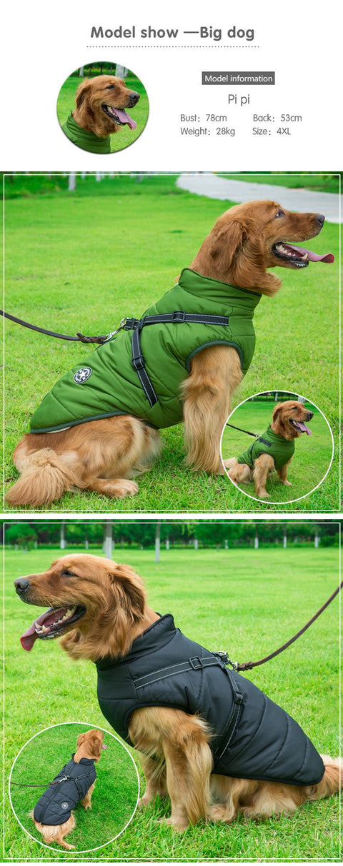 Dog/Puppy Jacket & Harness for Small Medium & Large Dogs - ScootRasch Outdoor Equipment